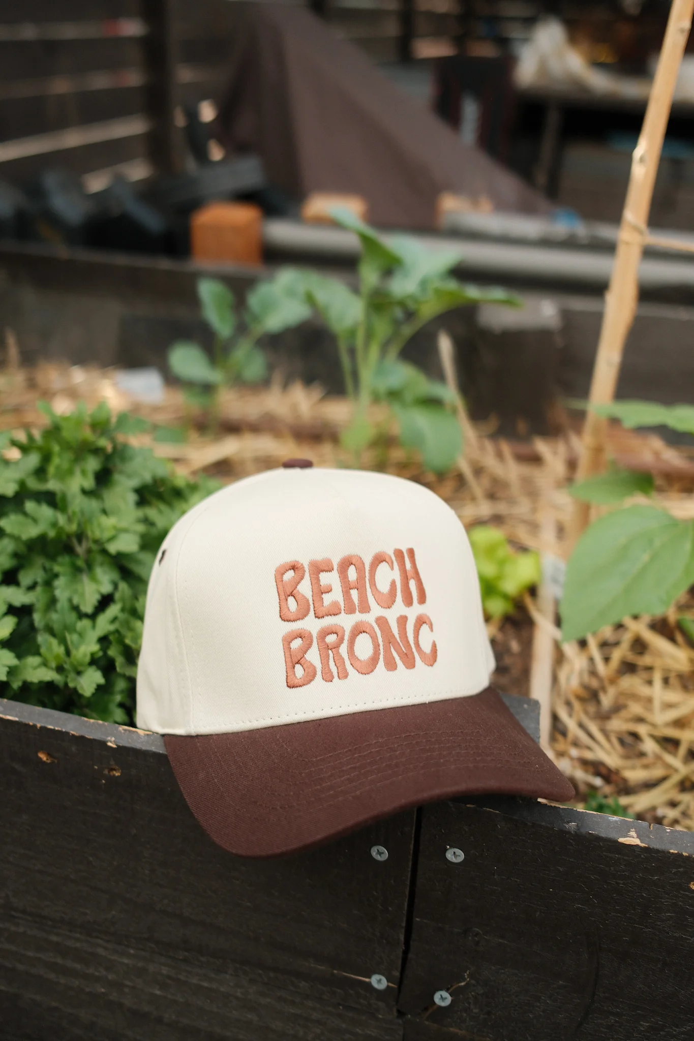 Beach Bronc Hat - Brown - Image 3